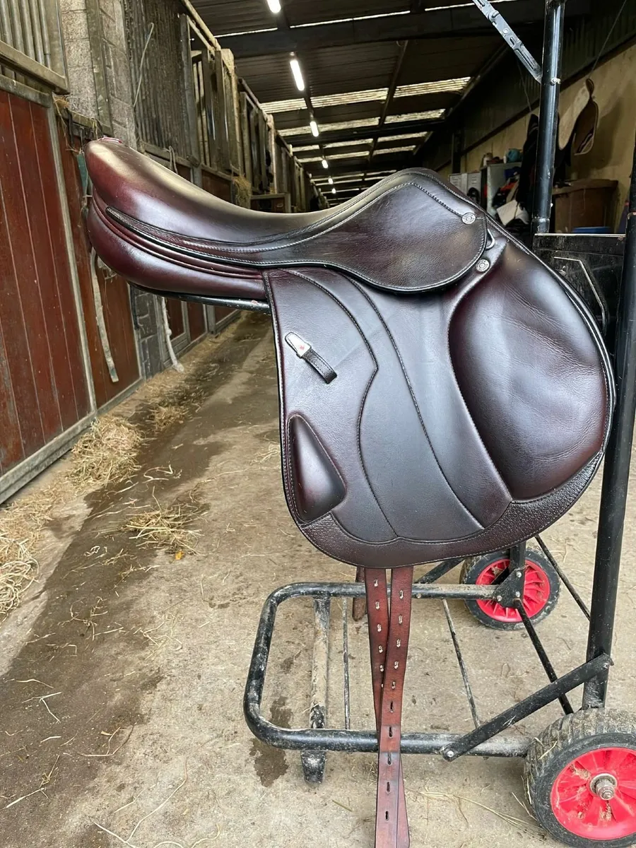 Jumping Saddle - Image 1