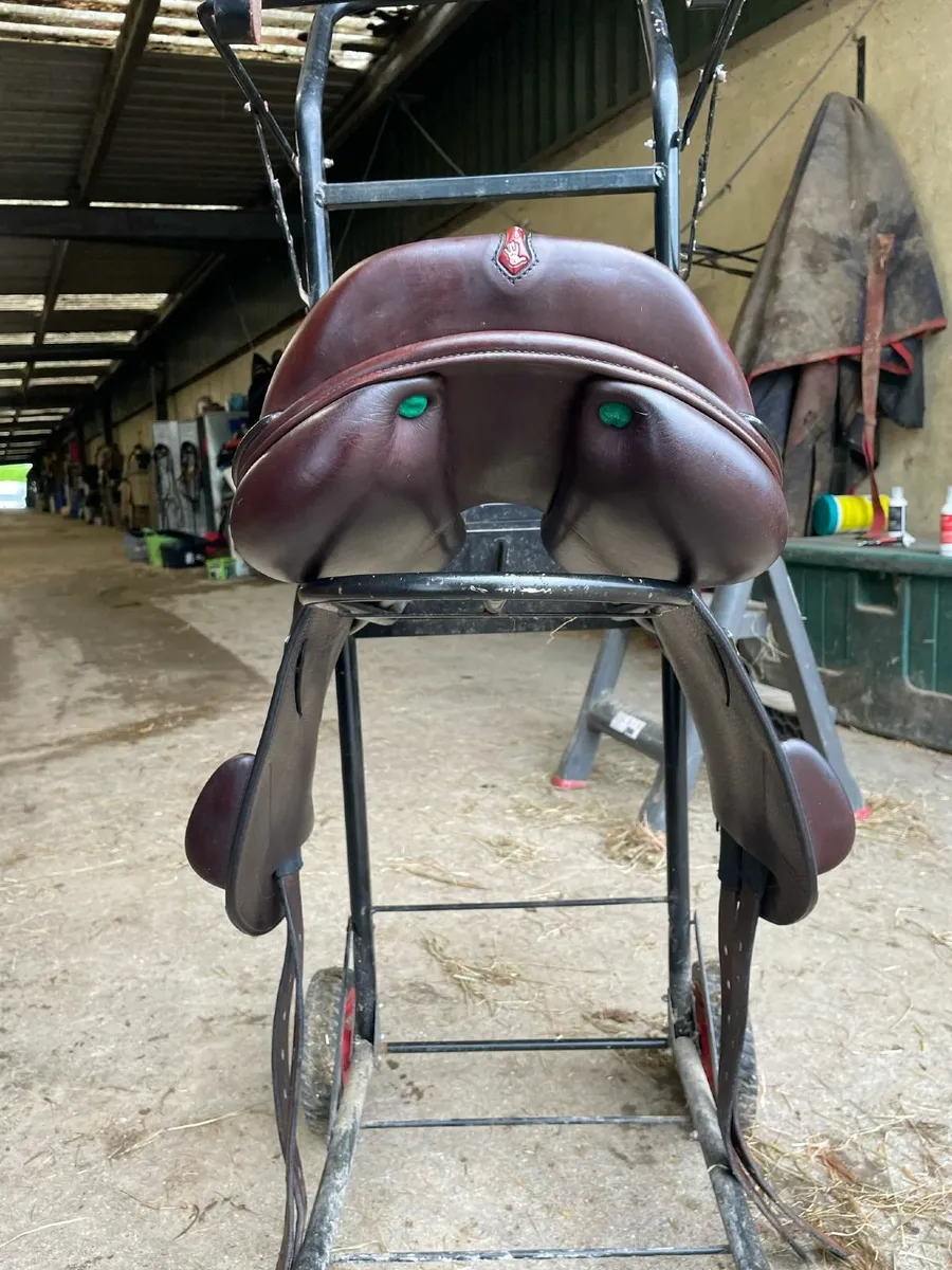 Jumping Saddle - Image 3