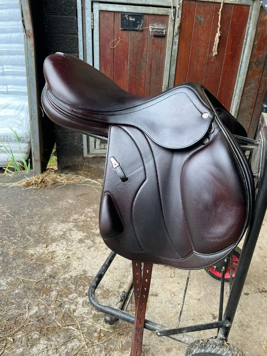 Jumping Saddle - Image 4