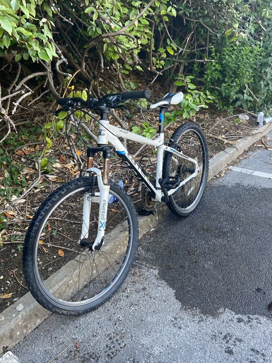 Selling carerra bike
