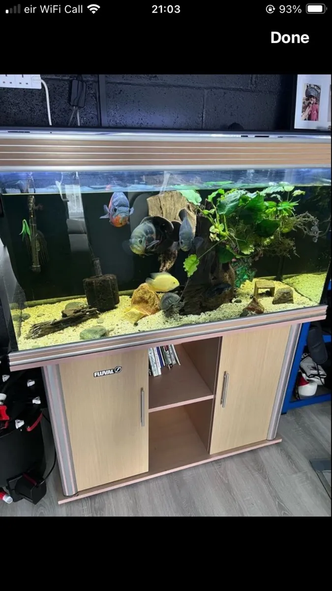 Fish tank 350 litre - Image 1