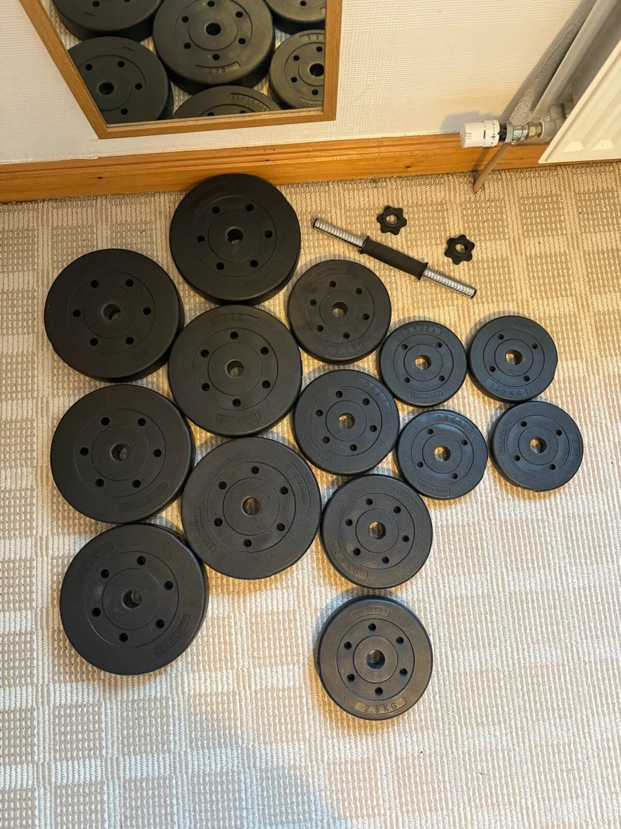 Weights - Image 1