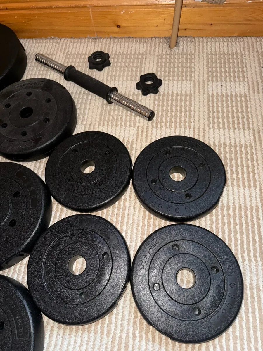 Weights - Image 4
