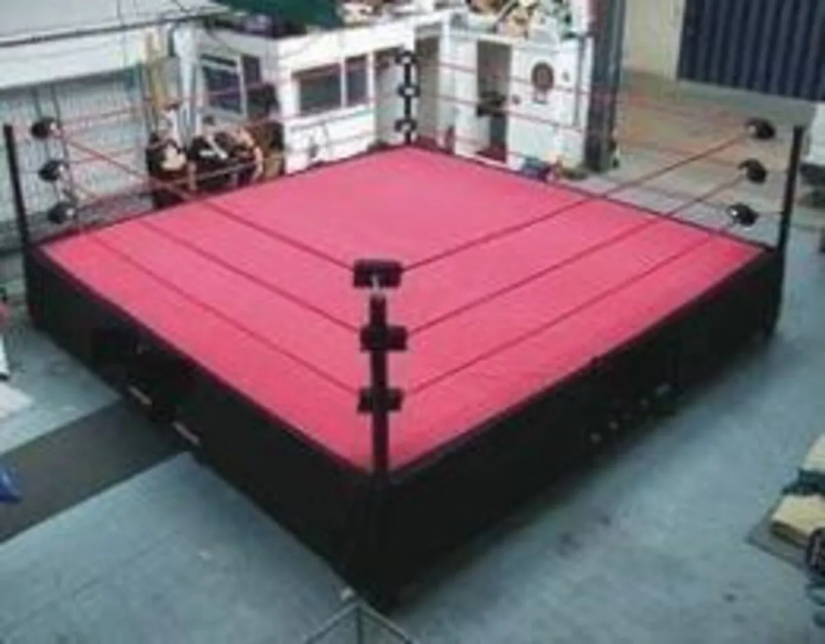 Pro Wrestling / Boxing Ring