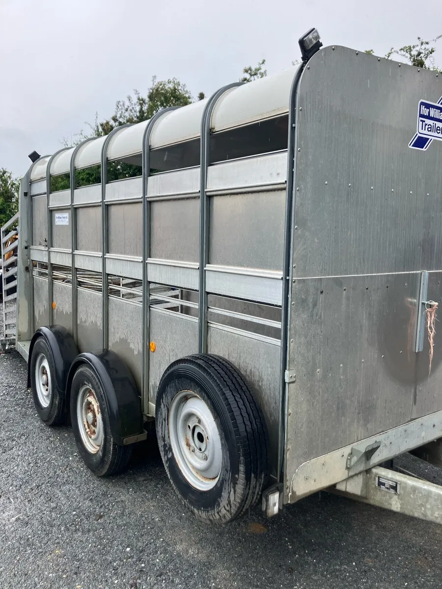 Ifor Williams - Image 1
