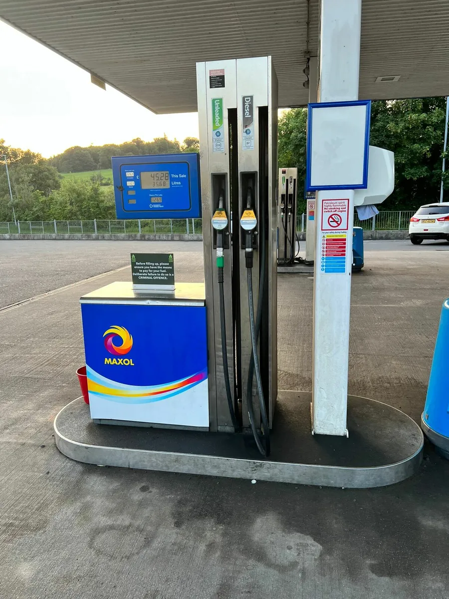 Pumps - Image 4