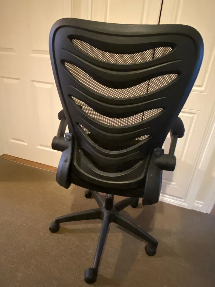Ergonomic Office Chair - Image 1