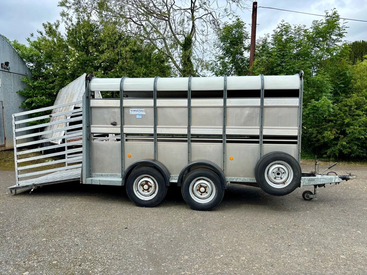 12ft IFOR WILLIAMS CATTLE TRAILER - Image 1