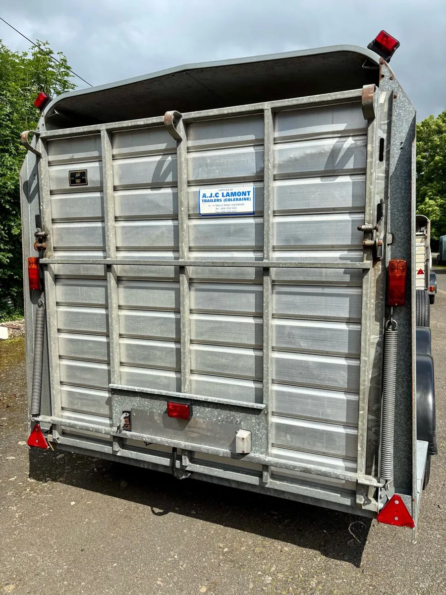 12ft IFOR WILLIAMS CATTLE TRAILER - Image 4
