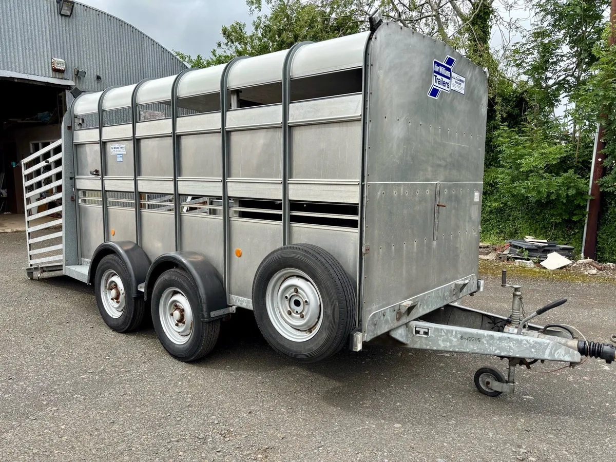 12ft IFOR WILLIAMS CATTLE TRAILER - Image 2