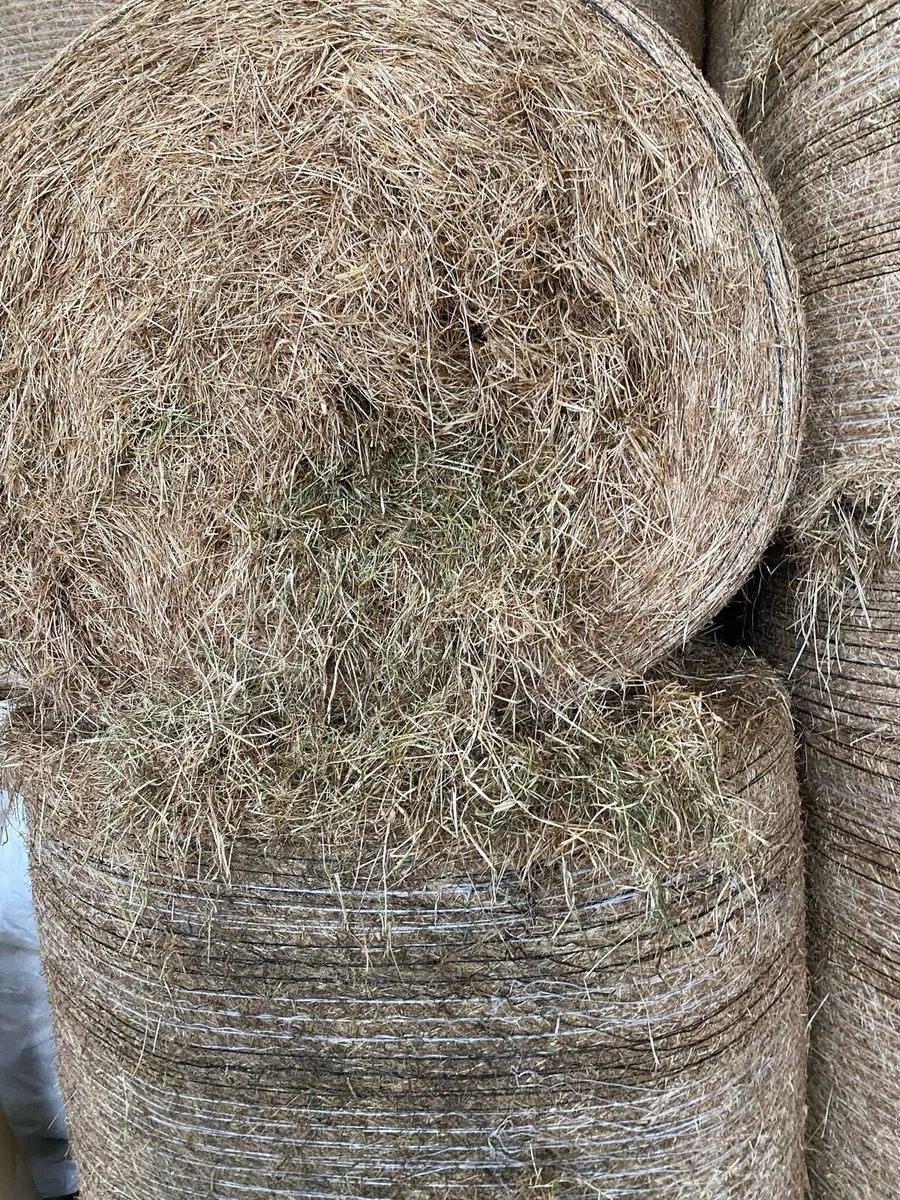 First crop hay - Image 3