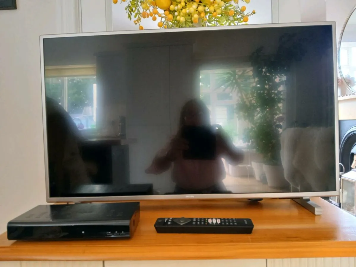 TV