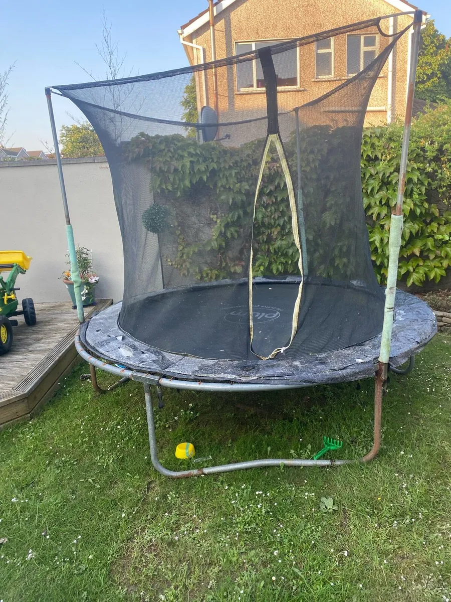 Trampoline - Image 2