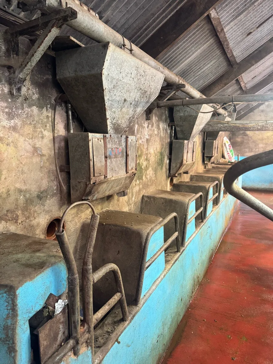 Cashman parlour feeders - Image 2