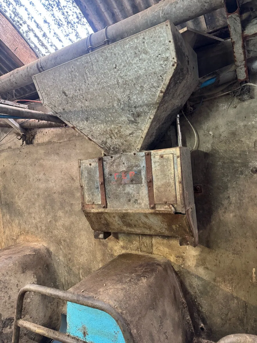 Cashman parlour feeders - Image 3