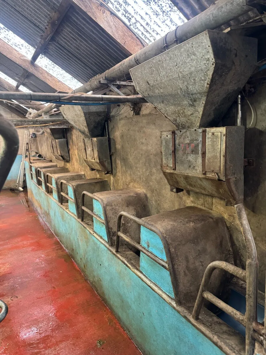 Cashman parlour feeders - Image 4