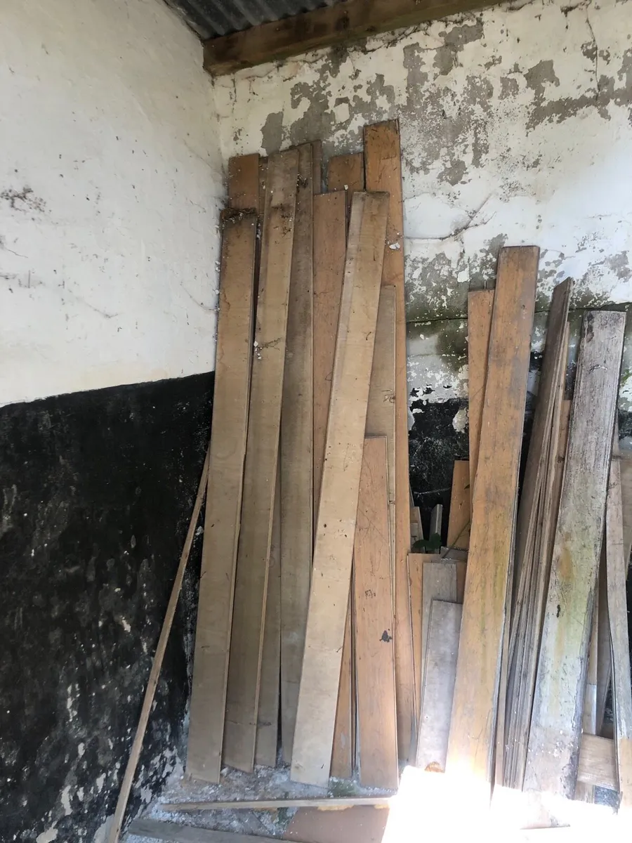 Timber and solid wood doors - Image 4