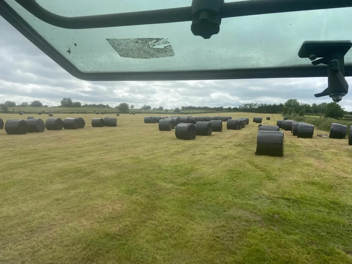 Bales of silage