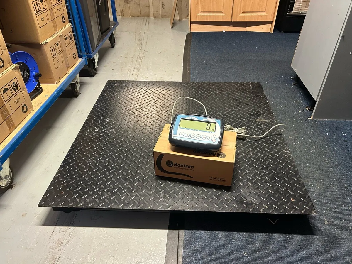 Pallet Weighing Scales (Used) - Image 3