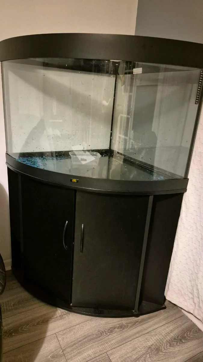 Fish tank - Image 1
