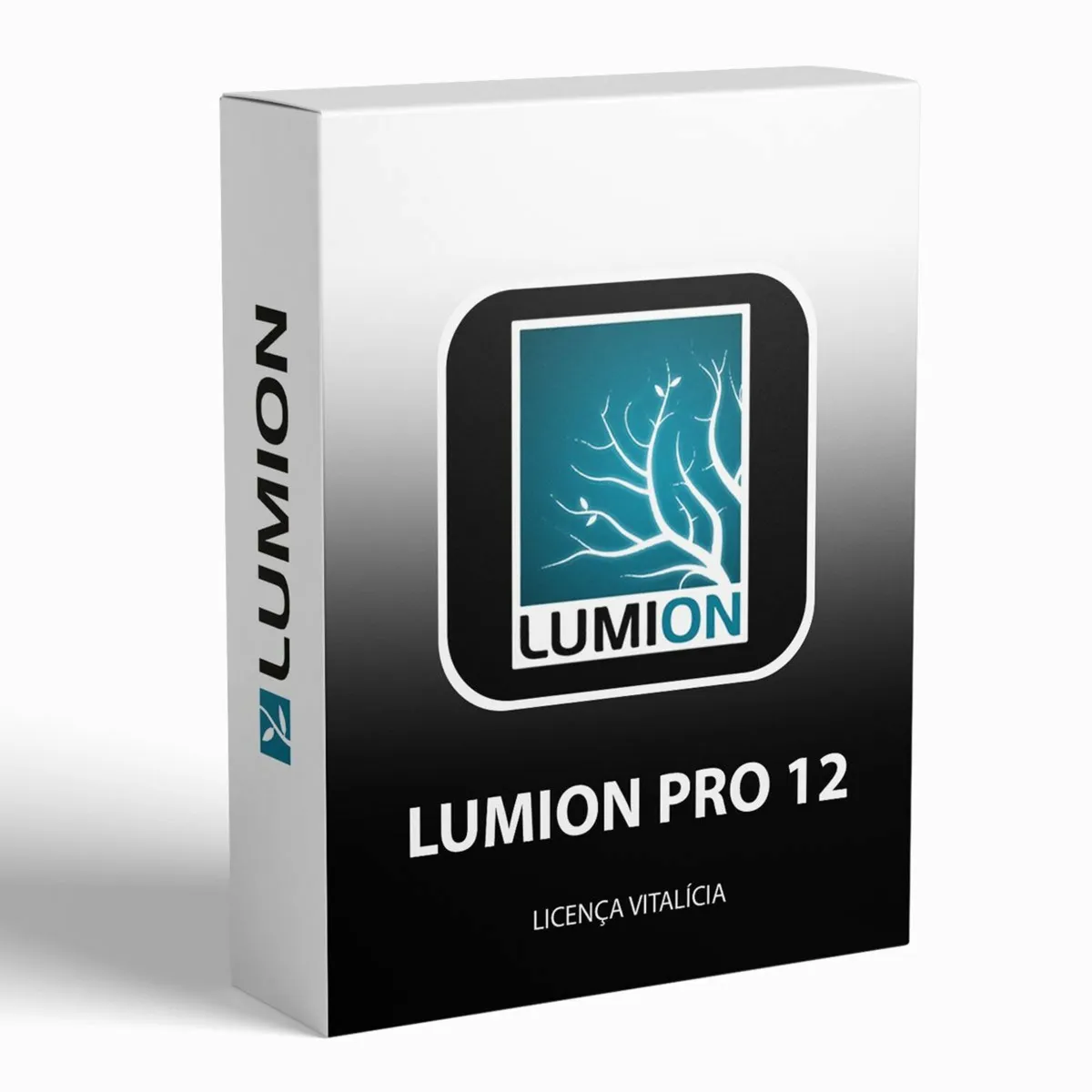 Lumion Pro 2025 For 1 Year