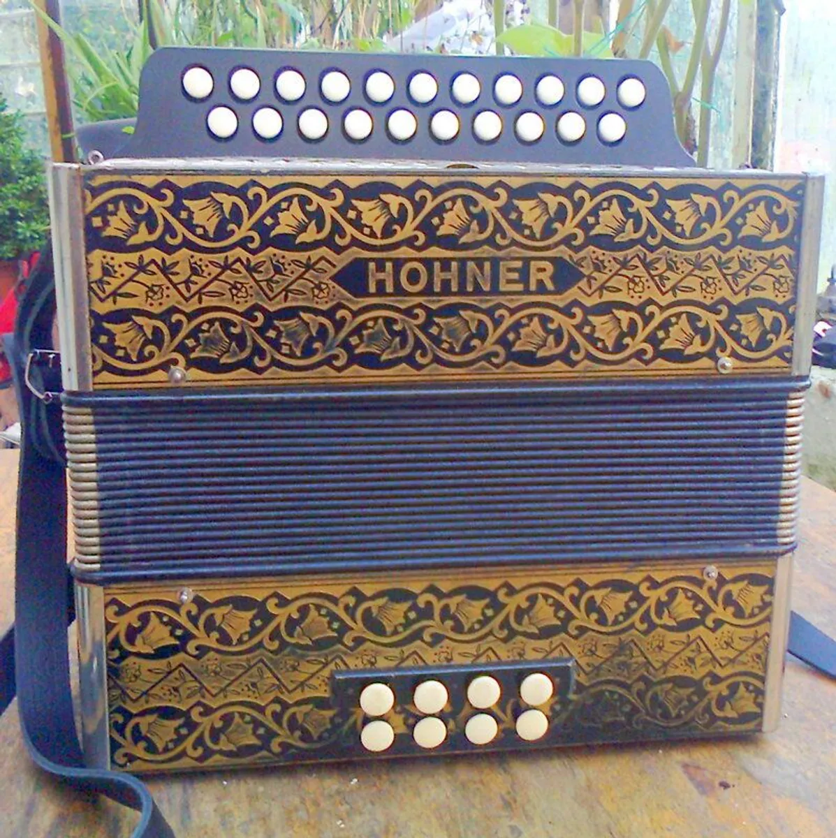 Hohner C#/D accordion with upgraded reeds + bag - Image 1