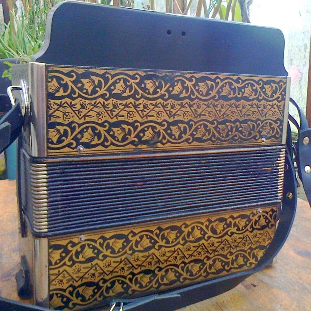 Hohner C#/D accordion with upgraded reeds + bag - Image 3