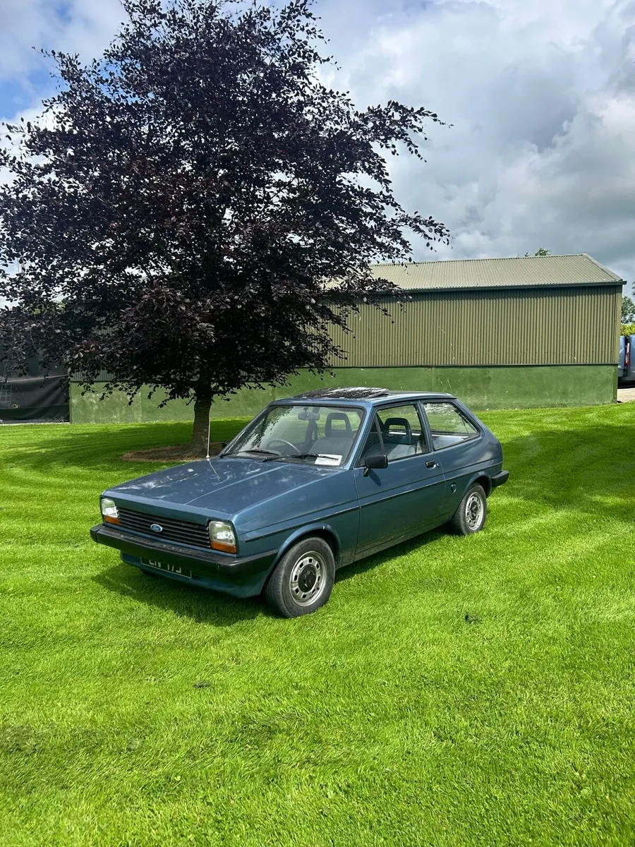Mk1 Ford Fiesta - Image 1
