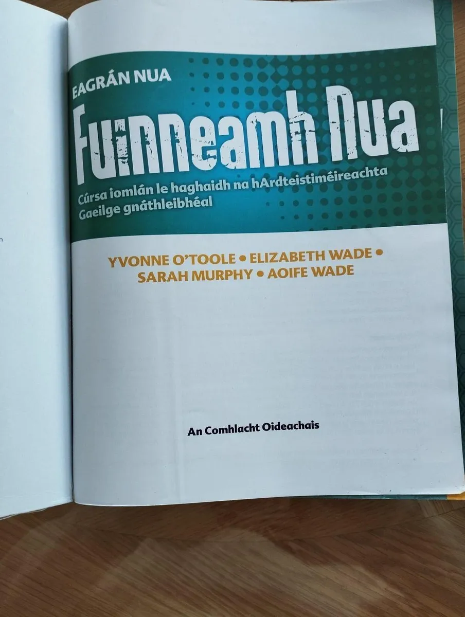 Irish school book - Image 2