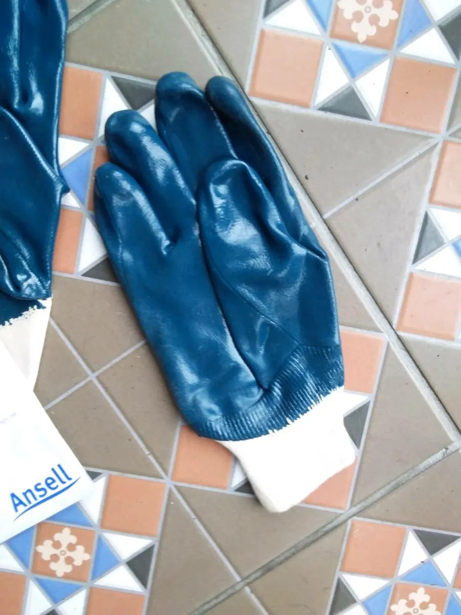 Pvc  gloves  to clear  2.50 pr pr - Image 1