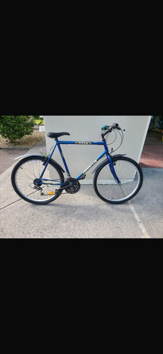 Bicycle - Image 1