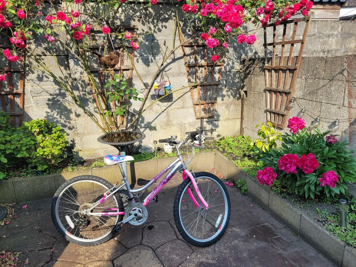 2 ladies mountain bikes. 1 new 26 inch. 1 used 24 - Image 3