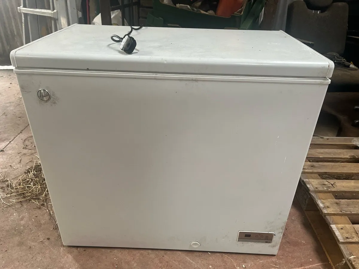 Weekly online auction - Image 4