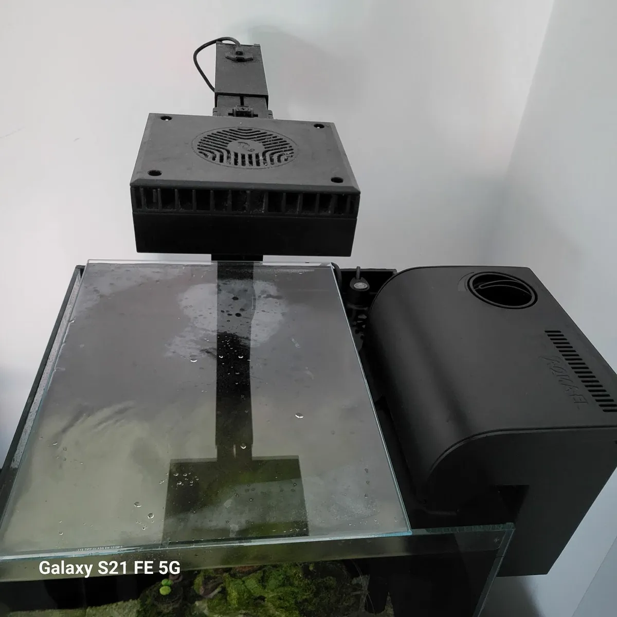 Marine fish tank 60 l 15 LPS frags good light - Image 4