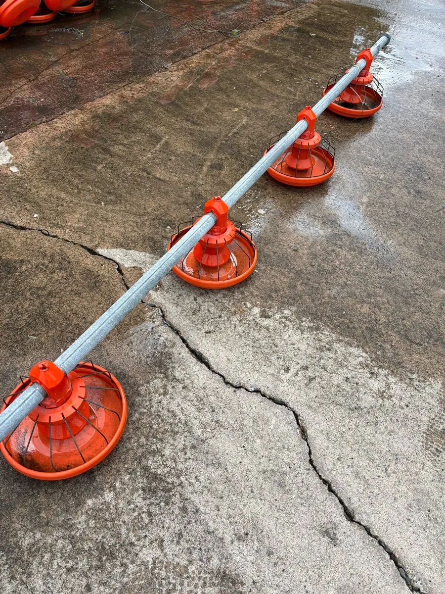 Feeders - Image 1