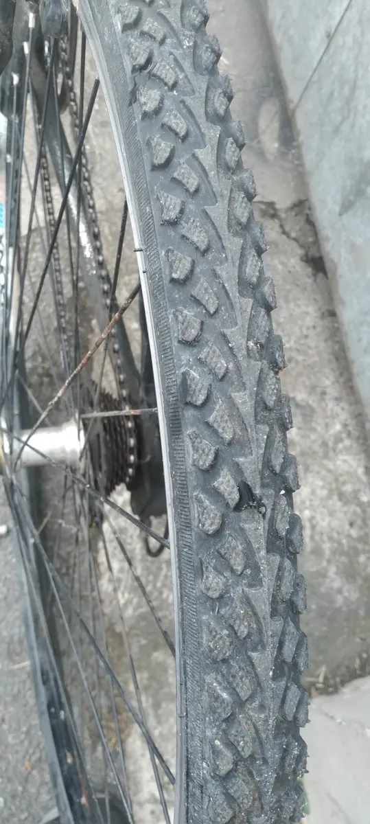 Pianist tuscan 28inch bike price too sell cheap - Image 2