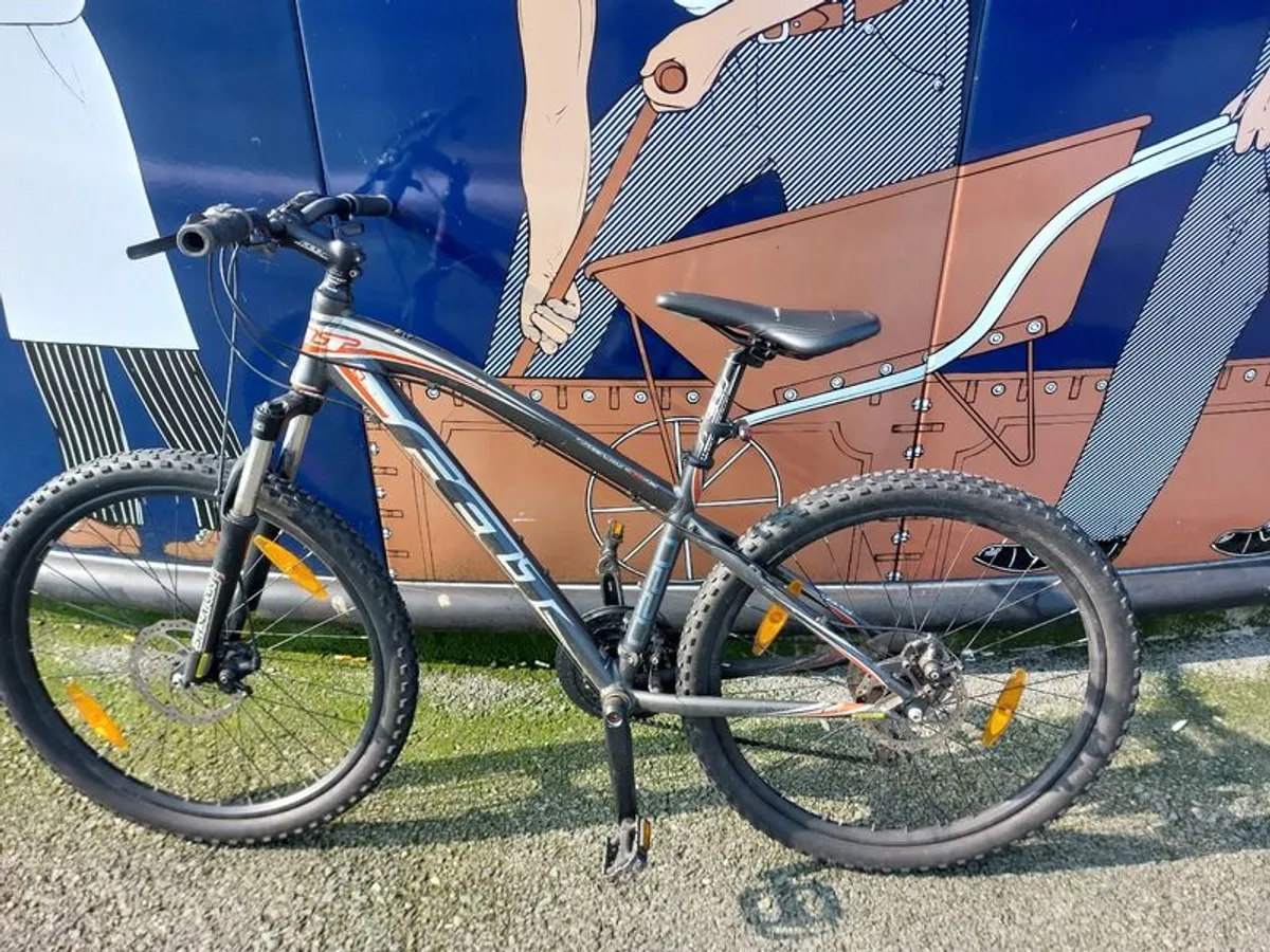 Mountain Bike - Image 1