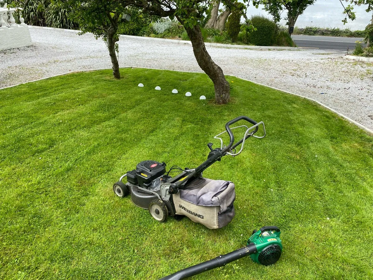 CORK GARDEN MAINTENANCE 🌿