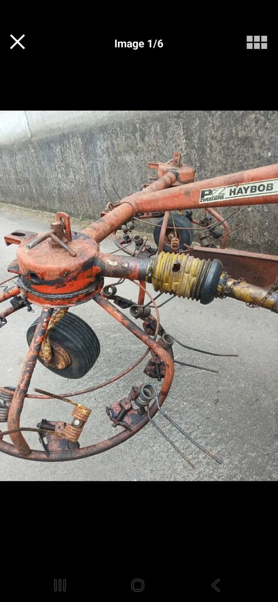 Pz haybob - Image 2