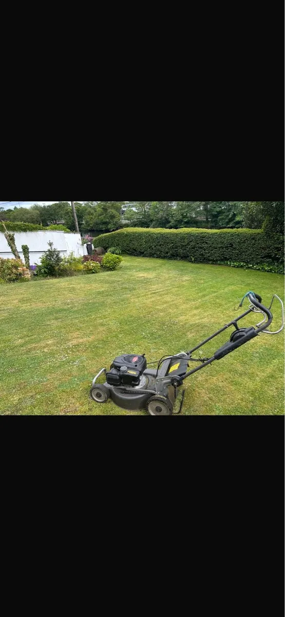 🌿 CORK GARDEN MAINTENANCE