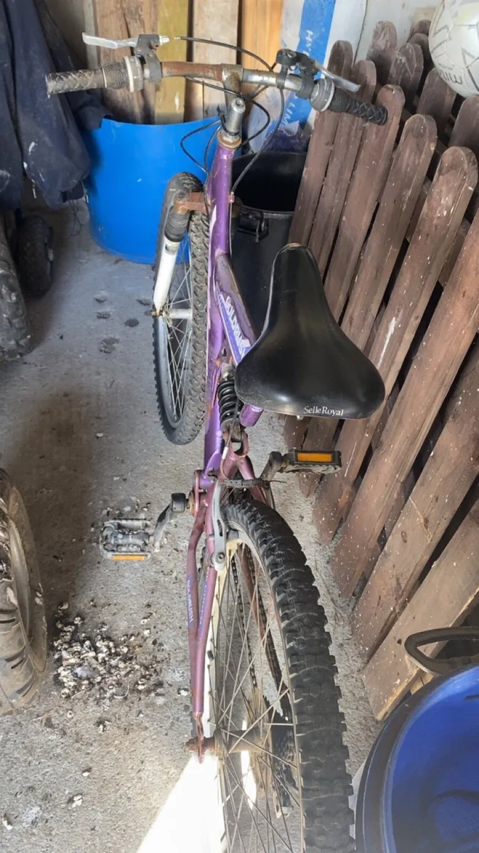 Pink goldrush bike - Image 3