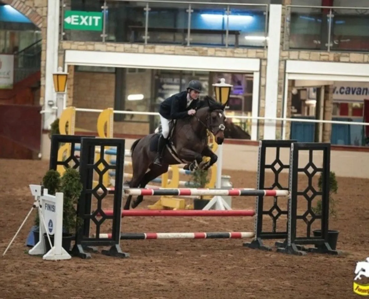 🌟 Stunning Eventer Type 🌟 - Image 1