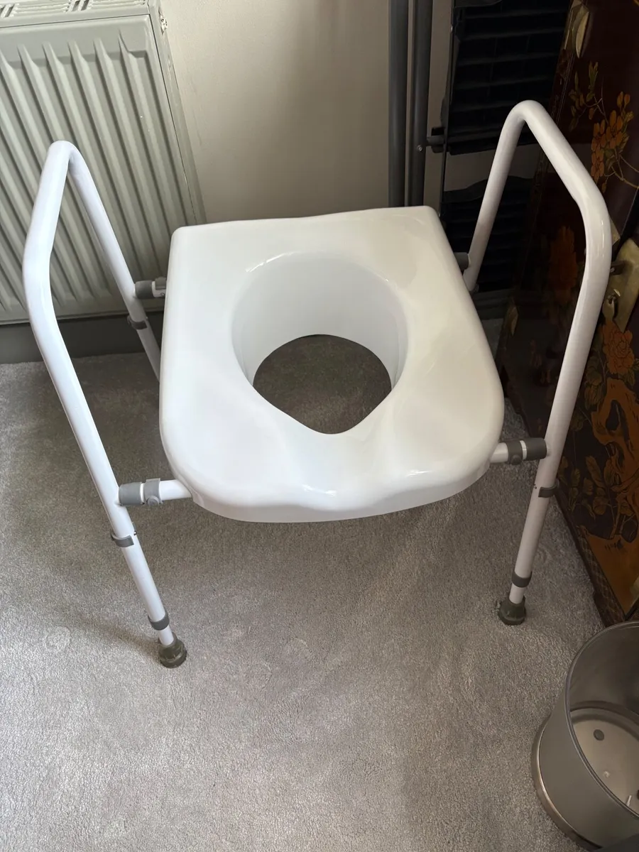 Toilet seat with frame, portable ramp and ramp for - Image 2