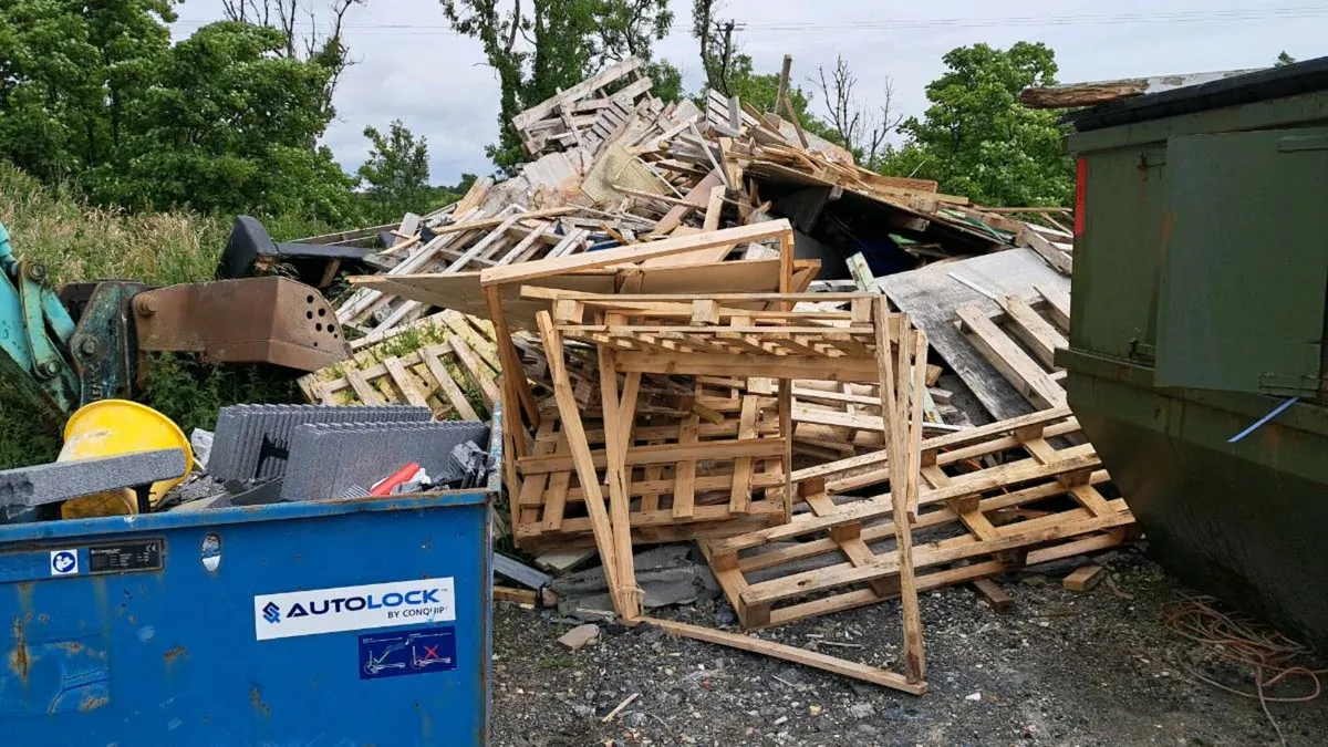 Firewood timber - Image 3
