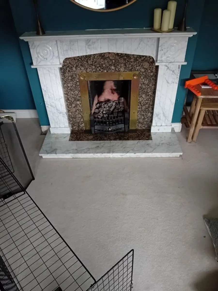 Marble Fireplace, Hearth and Fire Insert - Image 2