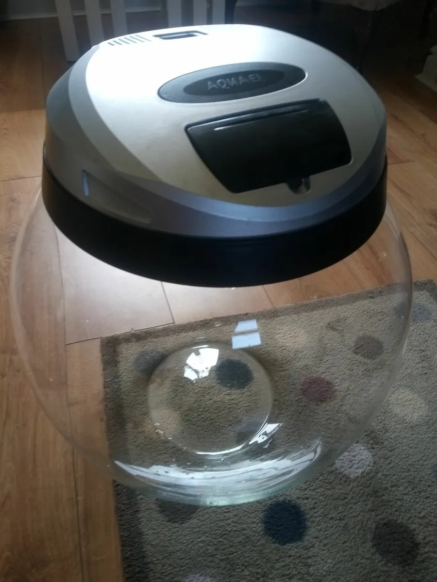 Fish Tank