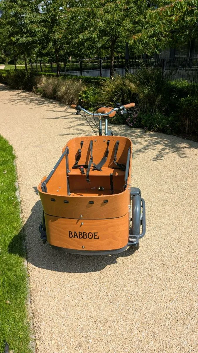 Babboe Curve Cargo Bicycle - Image 4