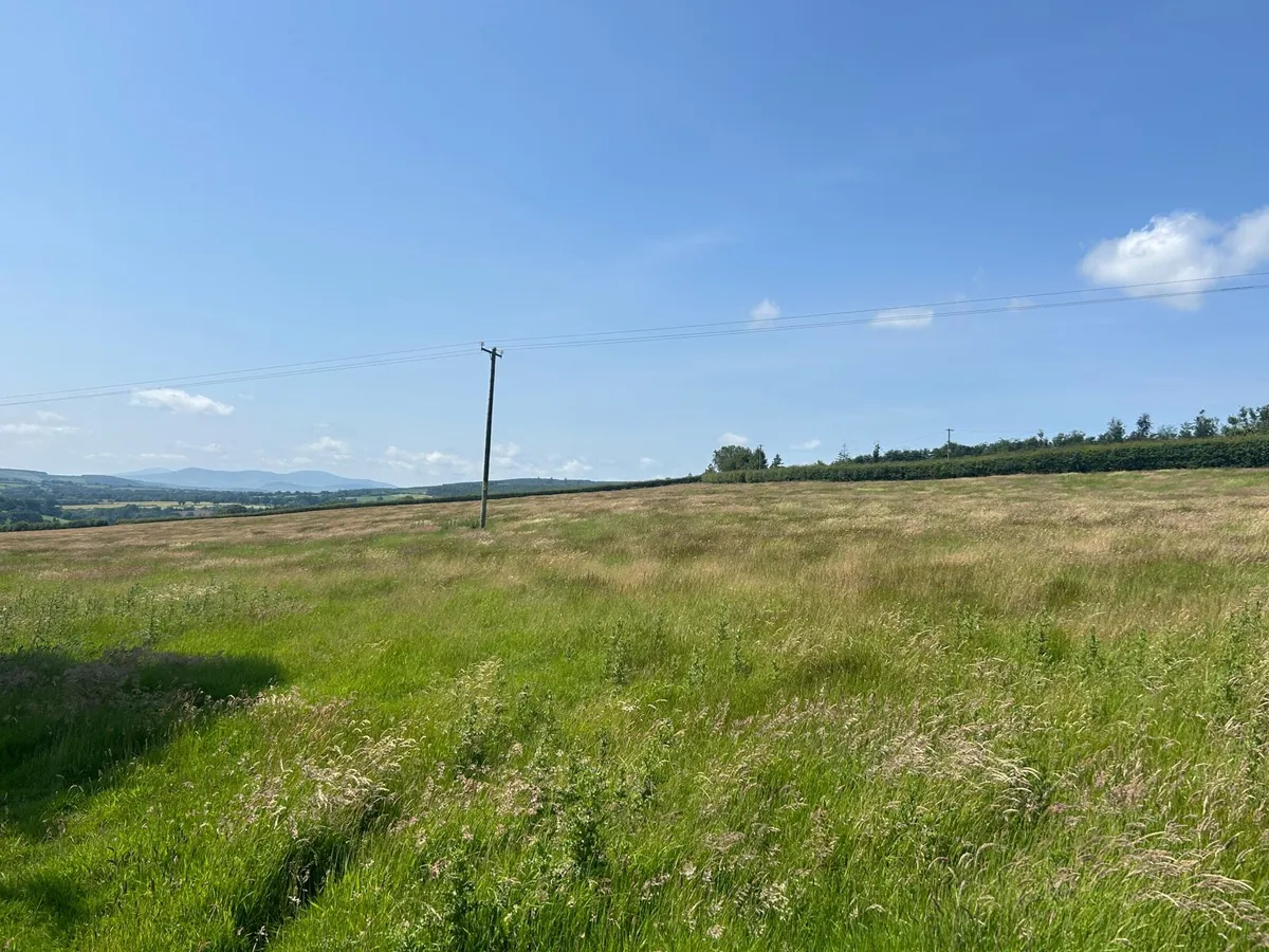 Paddock for hay/silage for sale - Image 1