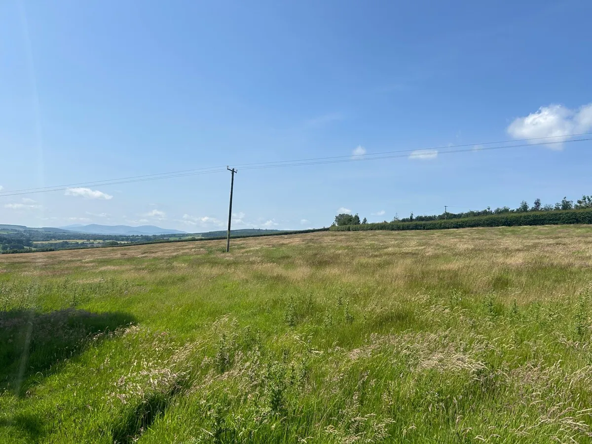Paddock for hay/silage for sale - Image 2