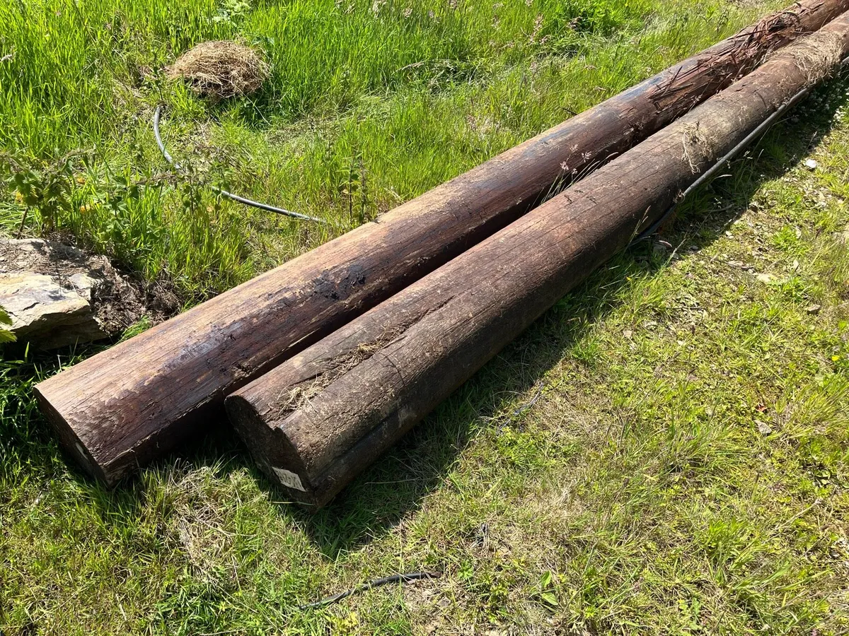ESB poles